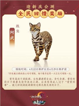 北凉王天龙八部私服